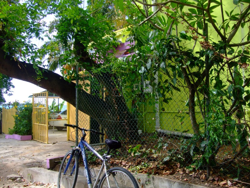 Mauritius 2010 - 0156 